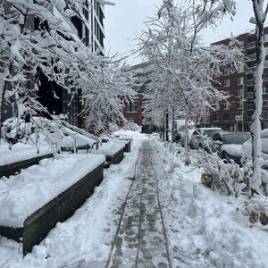 Meet your Posher, Marie